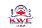 اولین دوره مسابقات کیوکوشین kwf قهرمانی گلستان برگزار شد